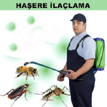 Yakutiye Böcek İlaçlama